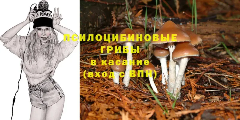 Галлюциногенные грибы MAGIC MUSHROOMS  Безенчук 